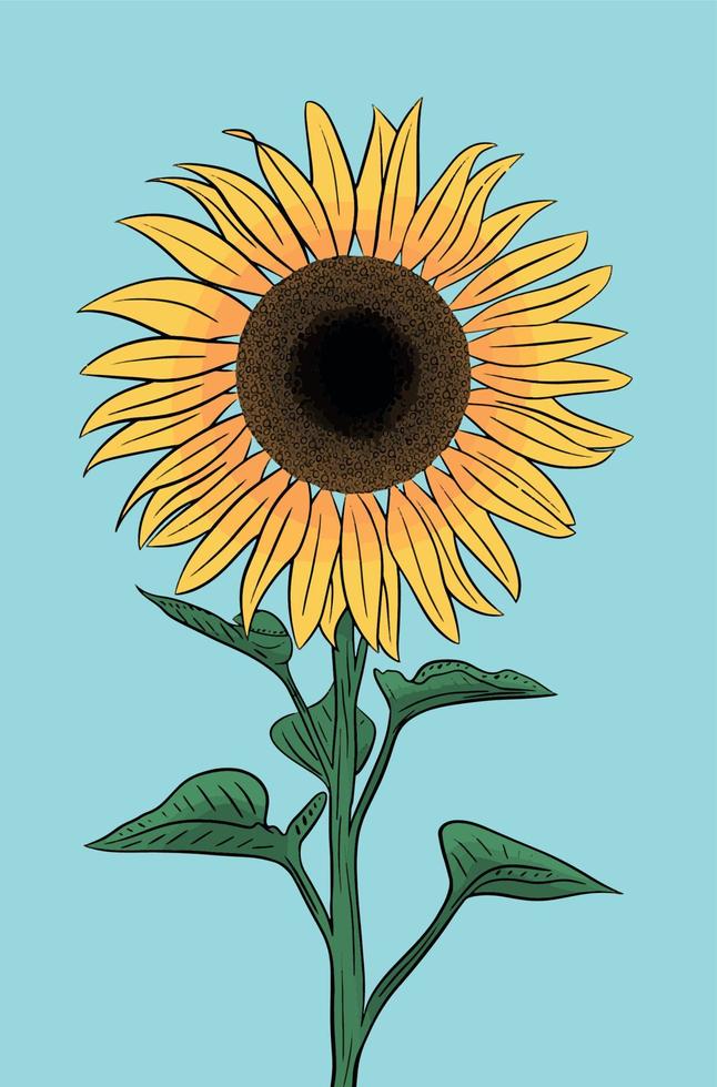 illustrazione di girasole vettore