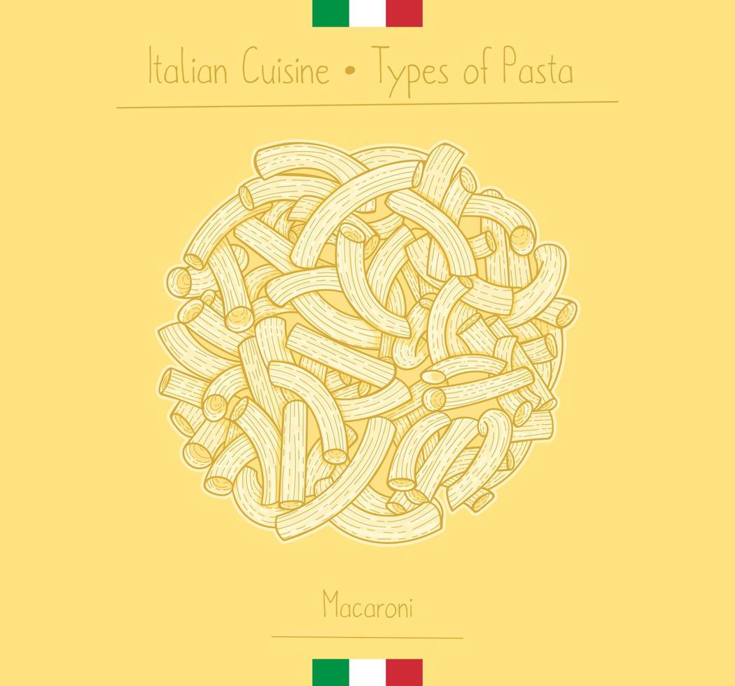 italiano cibo a forma di gomito pasta alias maccheroni vettore
