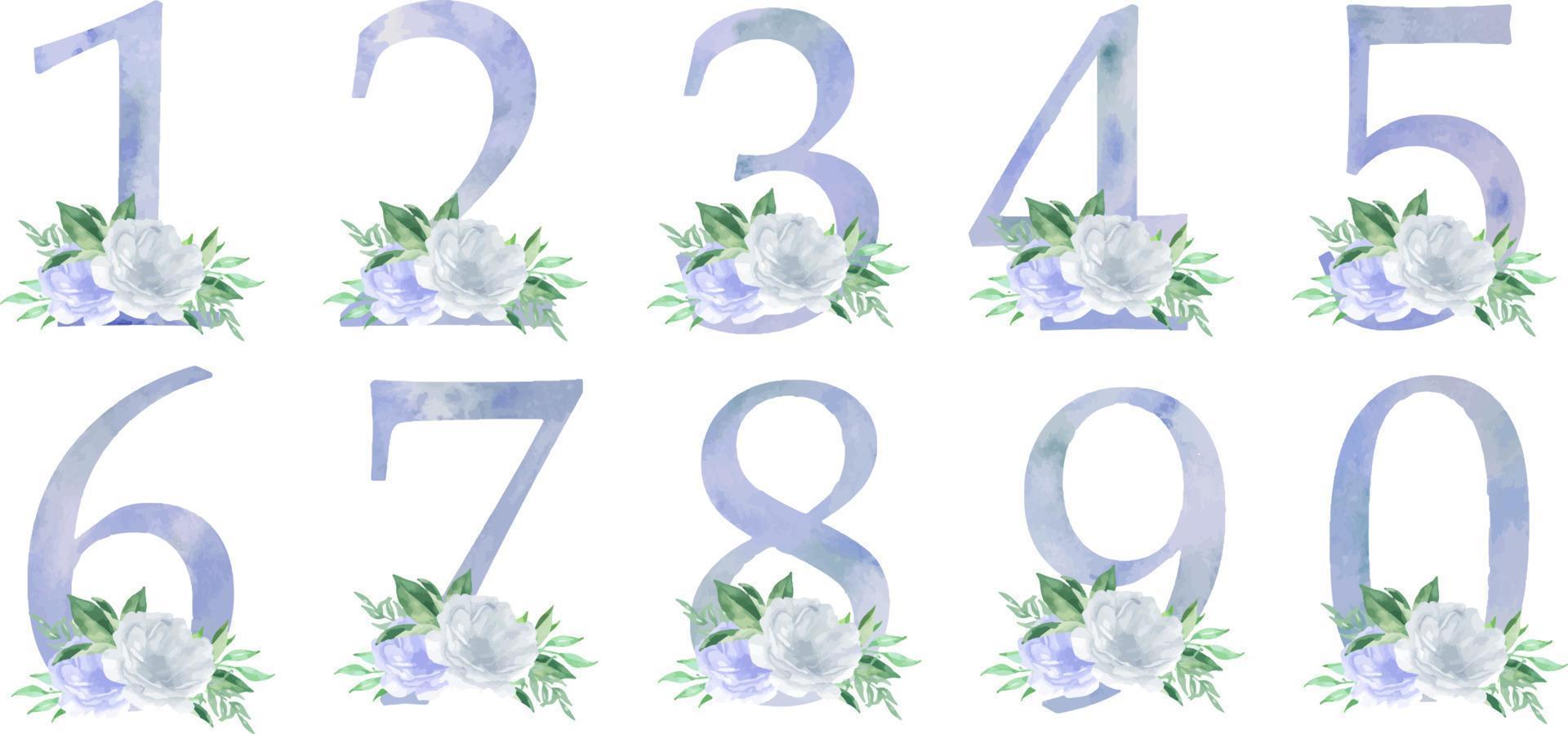acquerello blu numeri con peonie fiori e leve. floreale numero 0-9. romantico impostato per nozze inviti e carte vettore