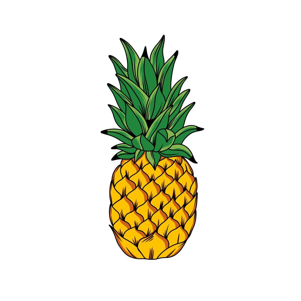 fresco ananas vettore design illustrazione