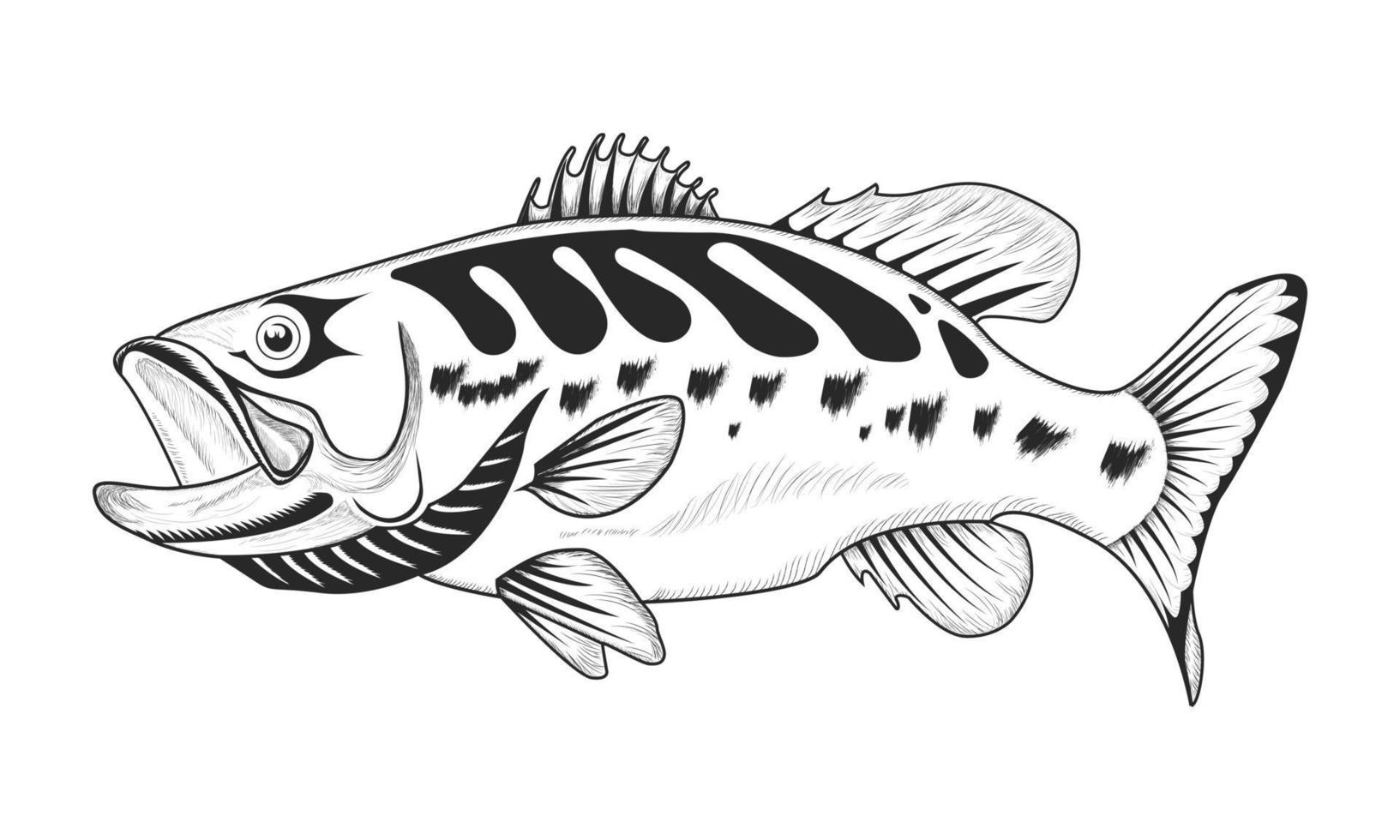 pesce vettore design illustrazione