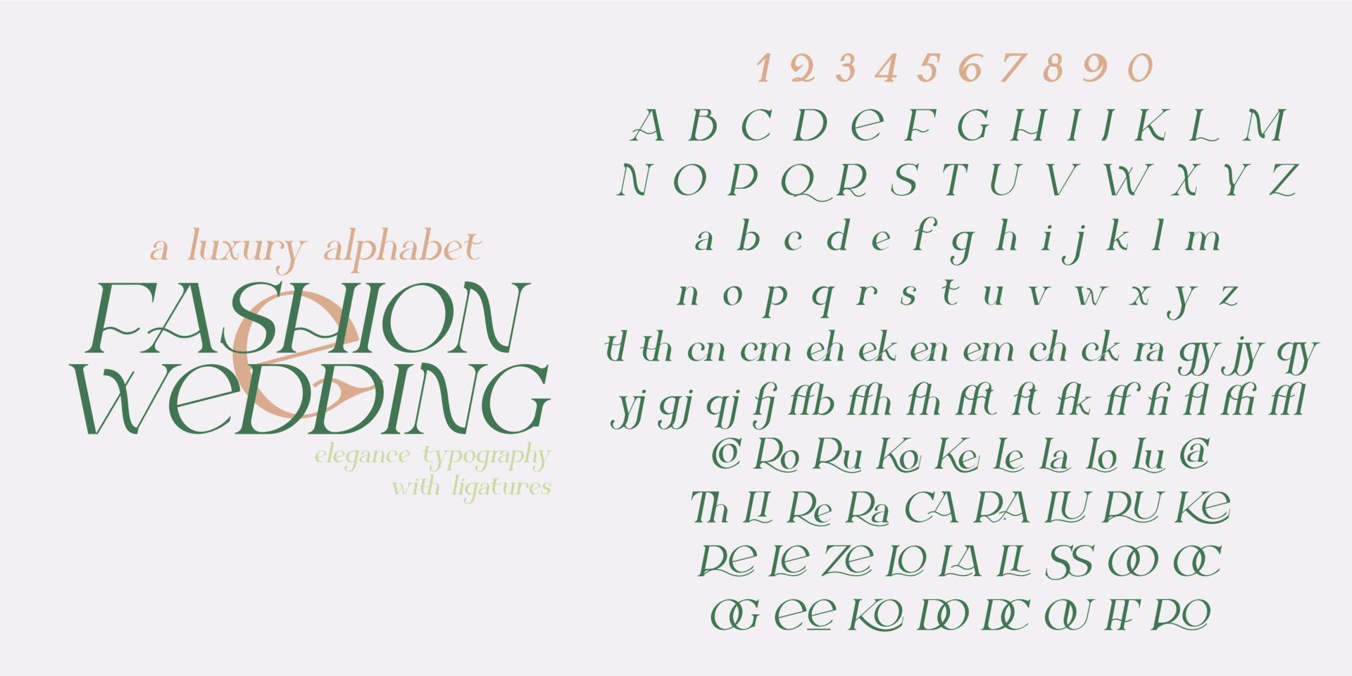 moderno serif eleganza font. vettore