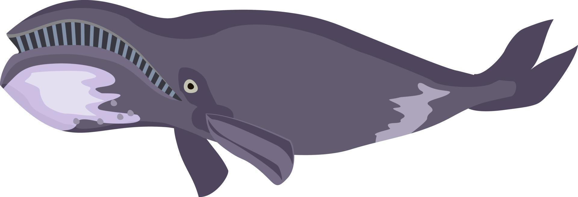 vettore cartone animato divertente balena. testa d'arco balena