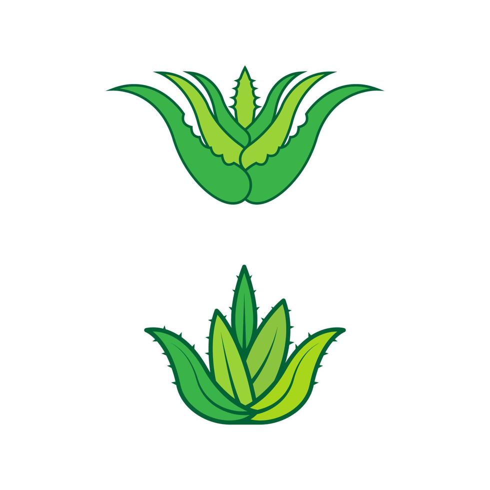 illustrazione del disegno dell'icona di vettore di aloe vera