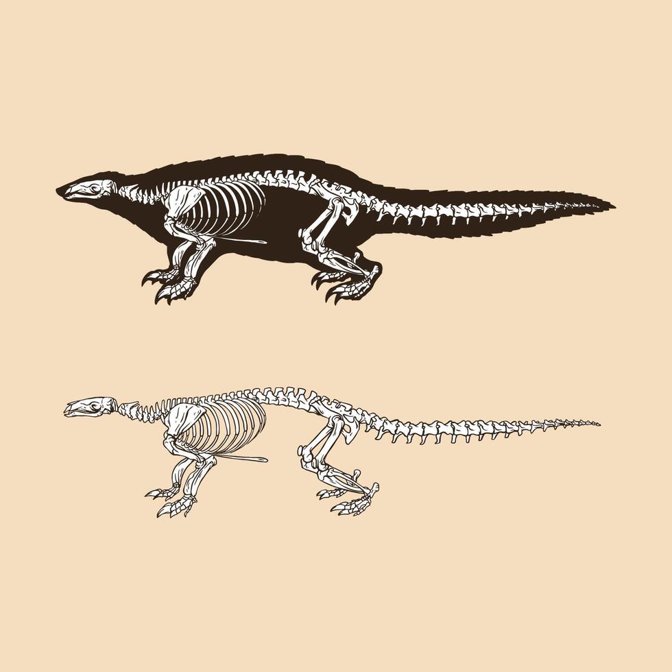 illustrazione vettoriale del pangolino scheletrico