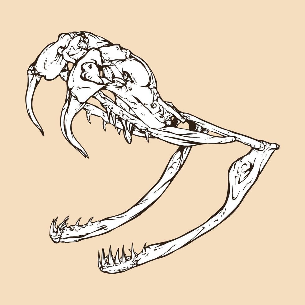 occidentale diamondback serpente a sonagli cranio testa vettore illustrazione