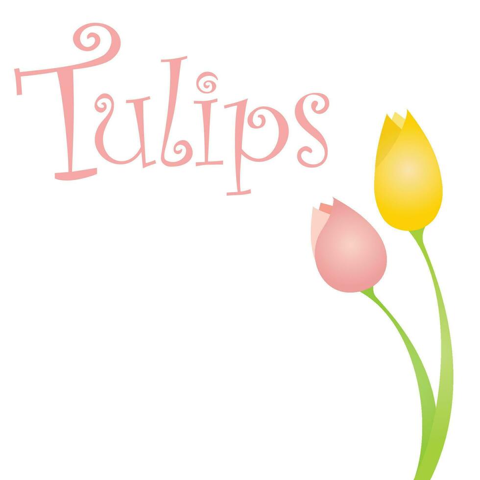 tulipano fiori vettore illustrazione grafico