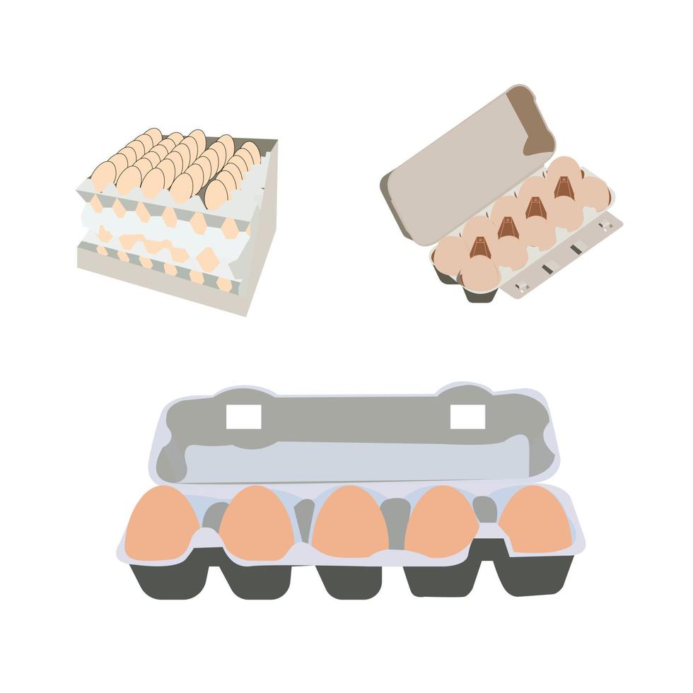 uova nel pacchetto isolato su bianca sfondo vettore