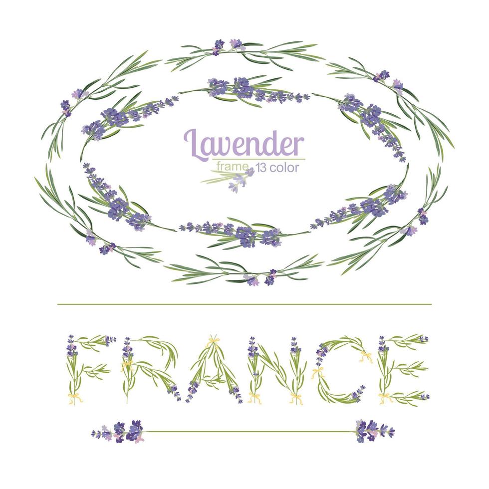 tipografia slogan con lavanda fiore testo Francia per t camicia stampa, ricamo, design. grafico e stampato tee vettore