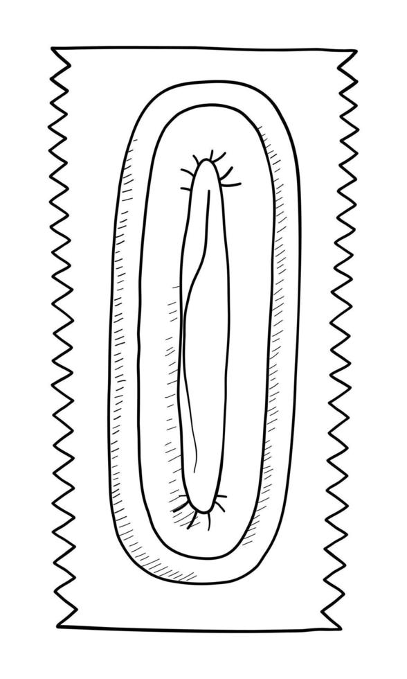 vettore nero e bianca contorno illustrazione di un' preservativo