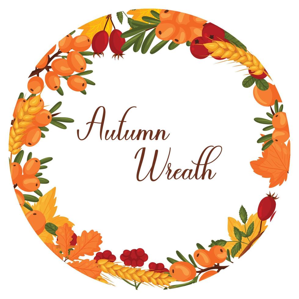 autunno ghirlanda con Grano, mare olivello spinoso, autunno le foglie con spazio per testo. vettore illustrazione isolato bianca sfondo.