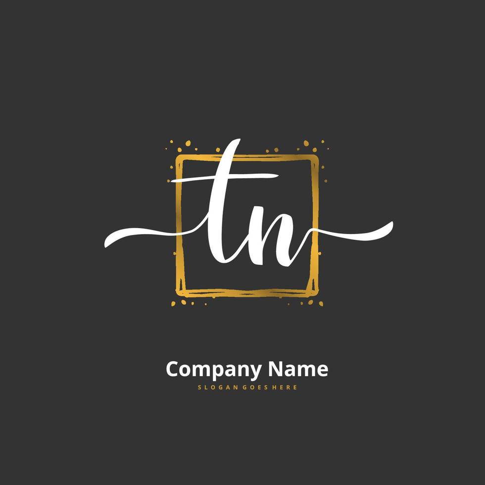 tn iniziale grafia e firma logo design con cerchio. bellissimo design manoscritto logo per moda, squadra, nozze, lusso logo. vettore