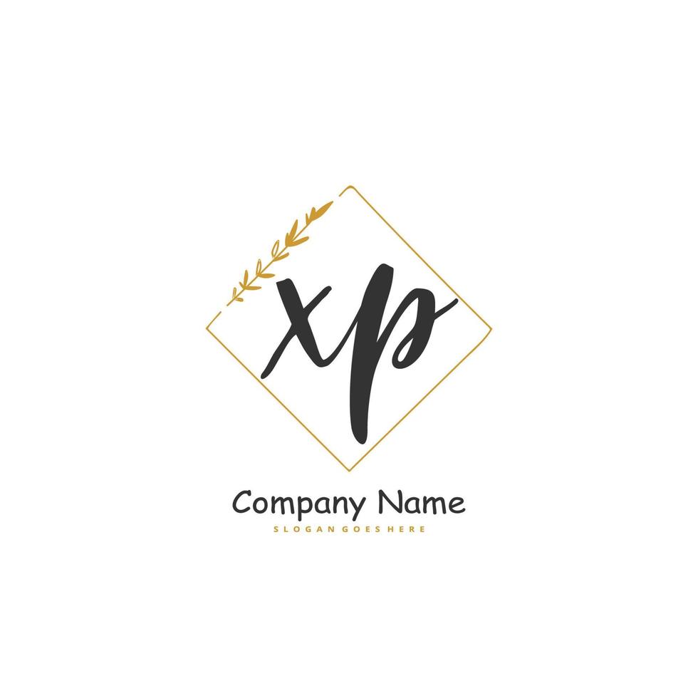 xp iniziale grafia e firma logo design con cerchio. bellissimo design manoscritto logo per moda, squadra, nozze, lusso logo. vettore