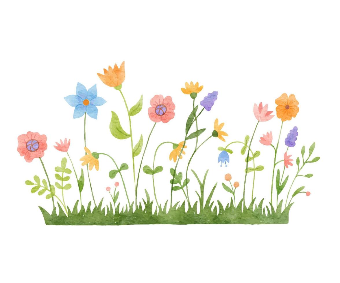 acquerello selvaggio erbe aromatiche e fiori scarabocchio illustrazione. campo con erba e fiori selvatici isolato su bianca sfondo vettore