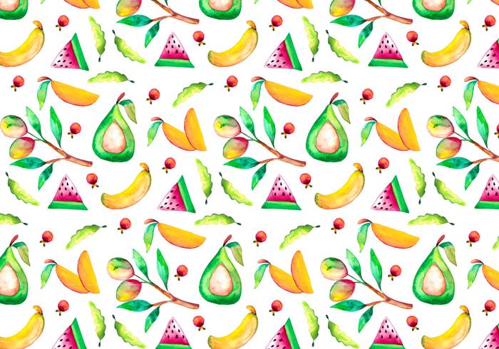 Illustrazione di mango dell'acquerello di vettore gratis