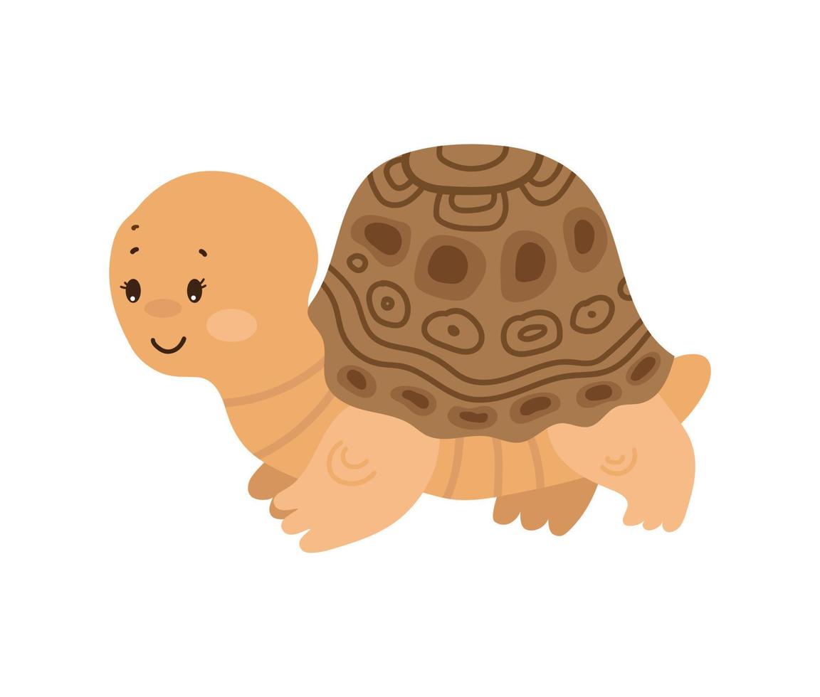 vettore illustratore di tartaruga