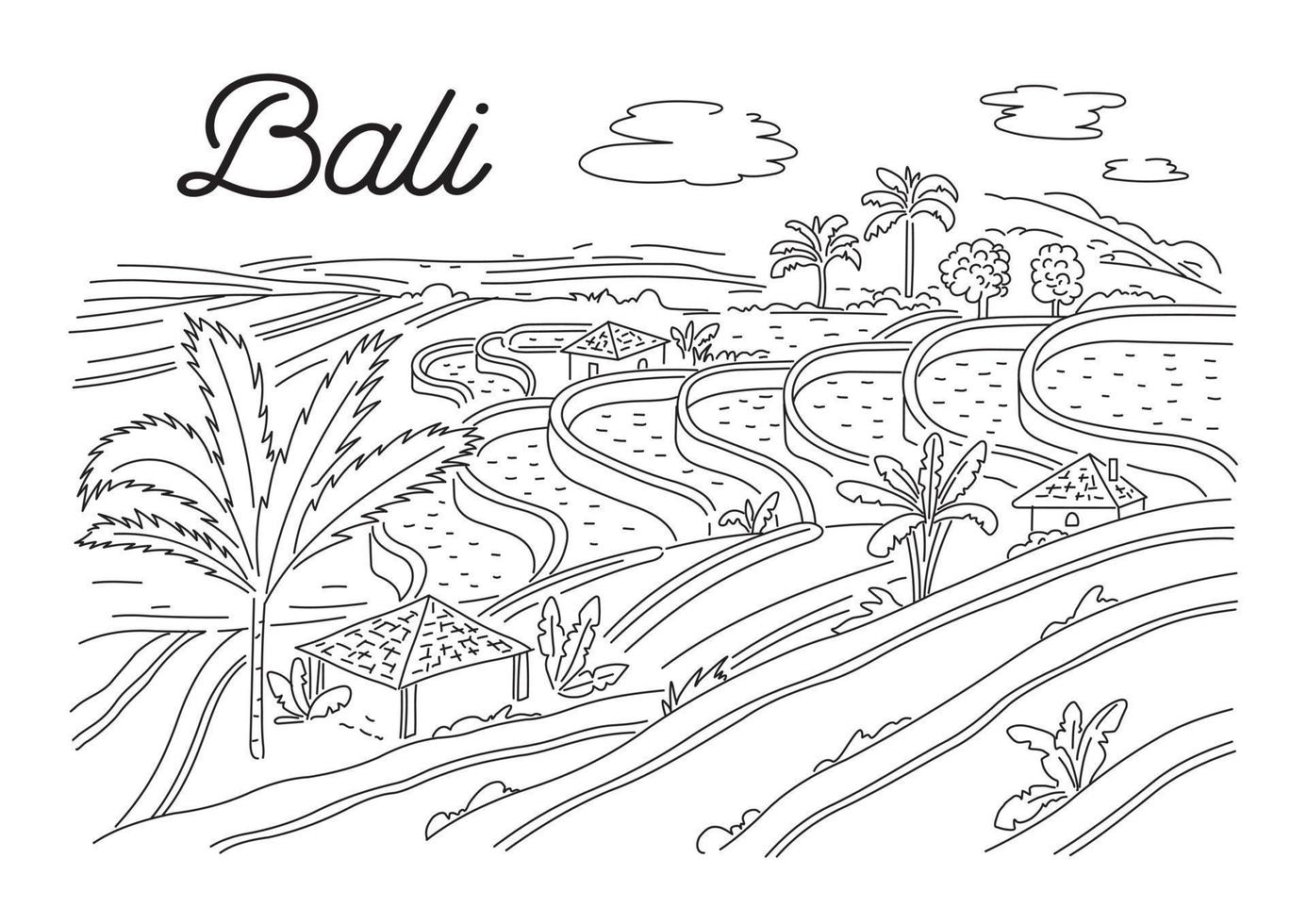 riso terrazze nel bali. indonesiano natura. vettore lineare illustrazione, schizzo