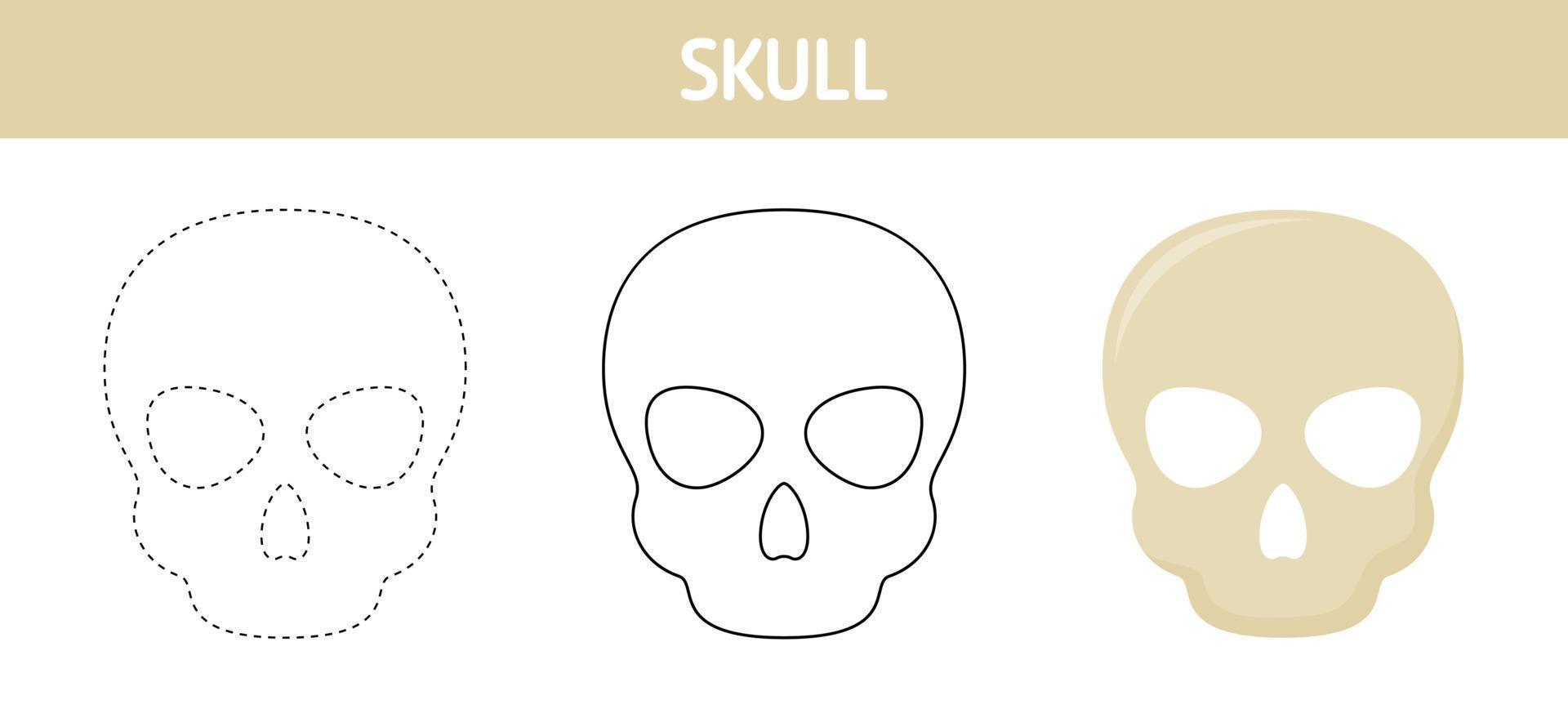 cranio tracciato e colorazione foglio di lavoro per bambini vettore