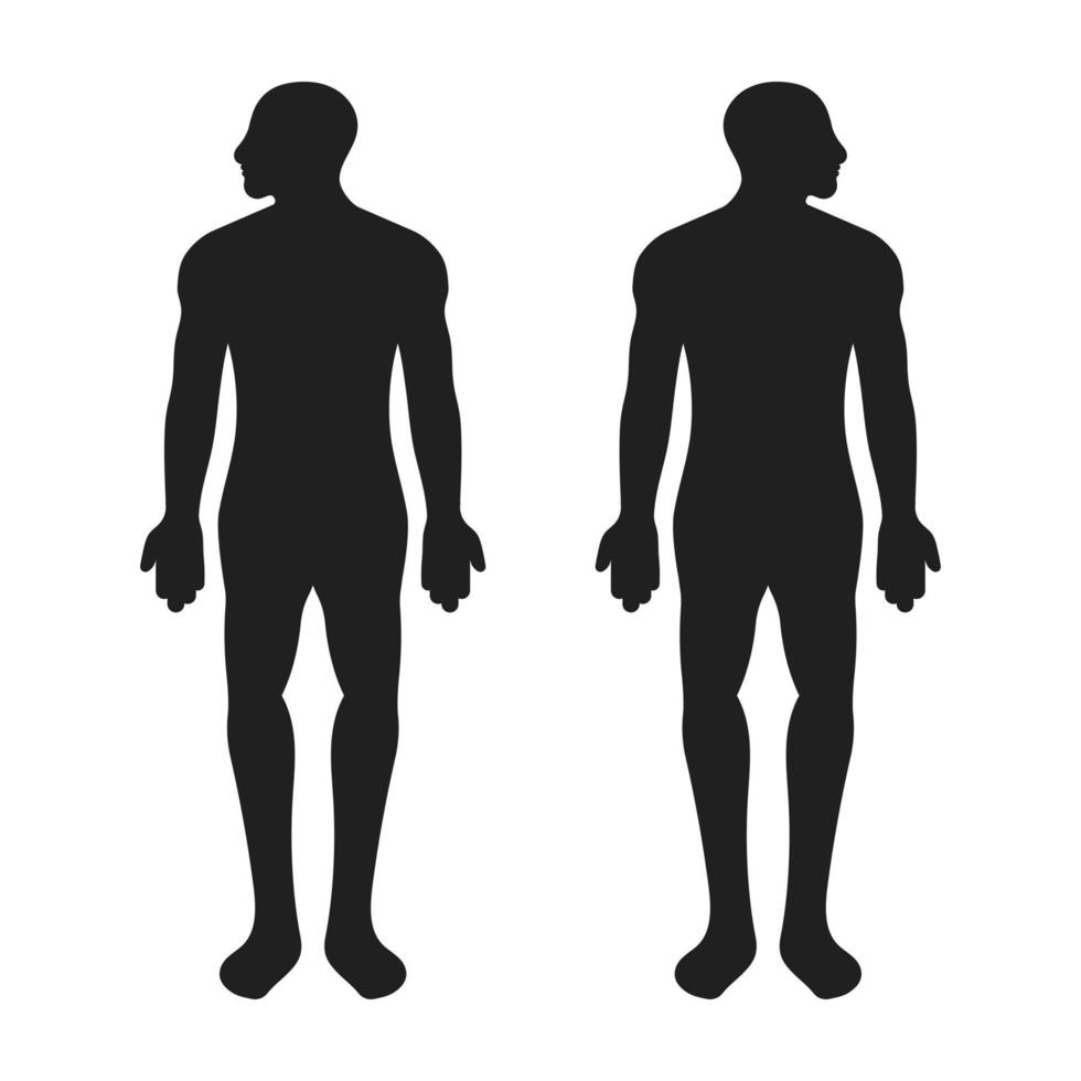 adulto maschio o uomini umano corpo piatto vettore icona per App o siti web