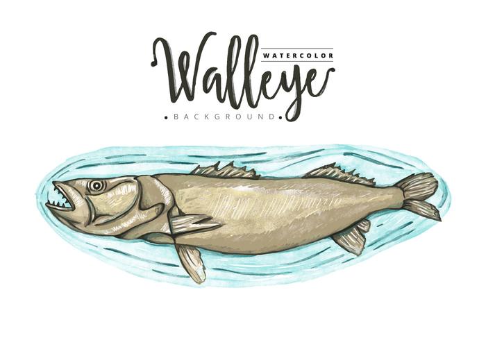 Sfondo di Walleye gratis vettore