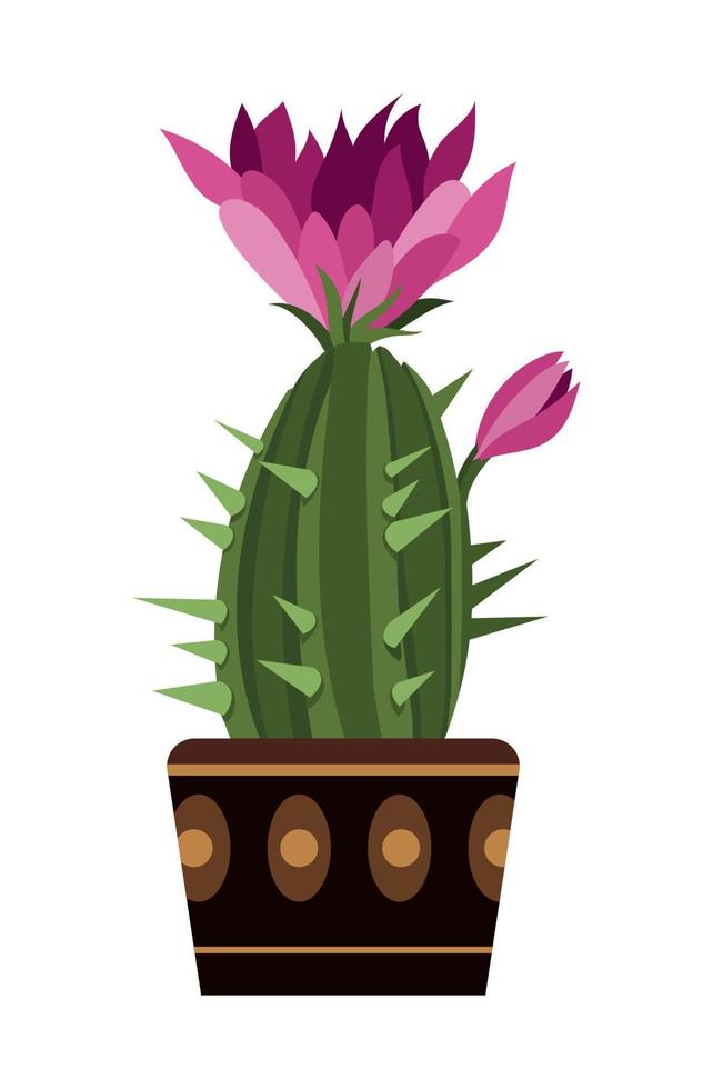 cactus in vaso vettore
