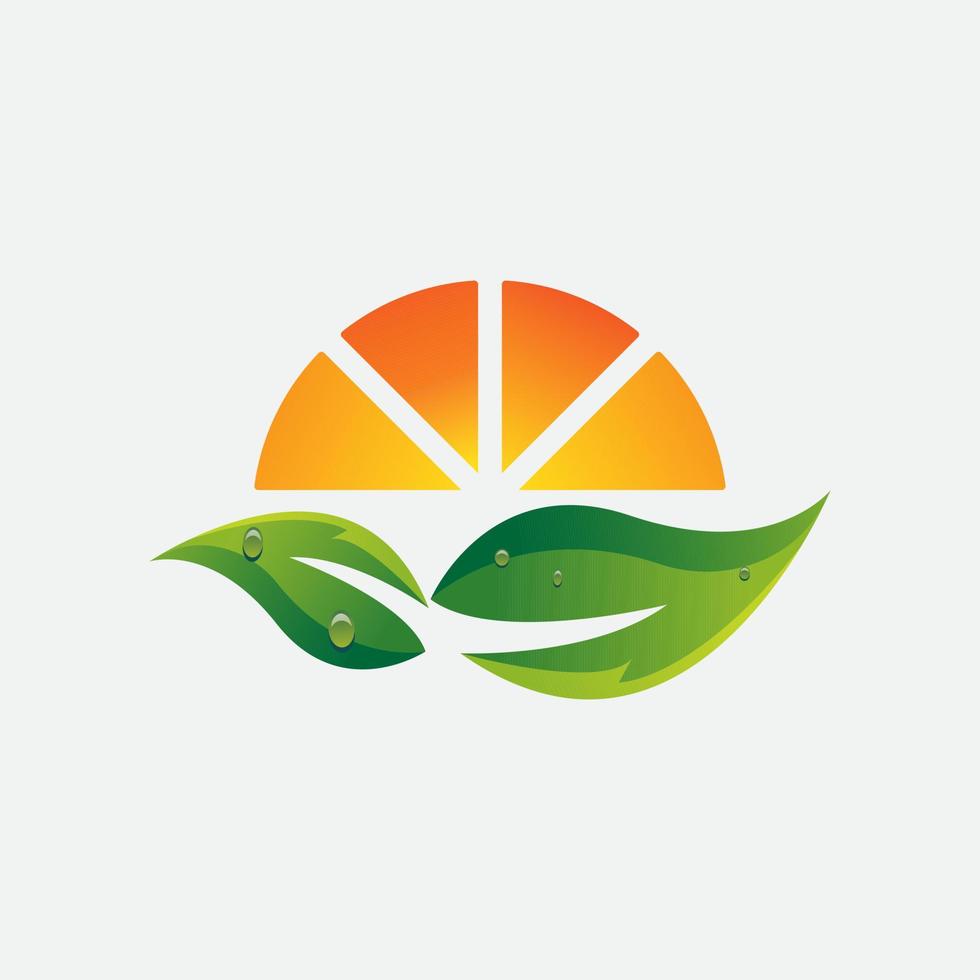 arancia succo logo design modello. frutta logo. arancia e frutta illustrazione vettore