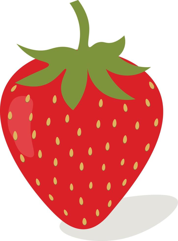 stawberry rosso estate frutta, bianca sfondo. vettore grafico illustrazione