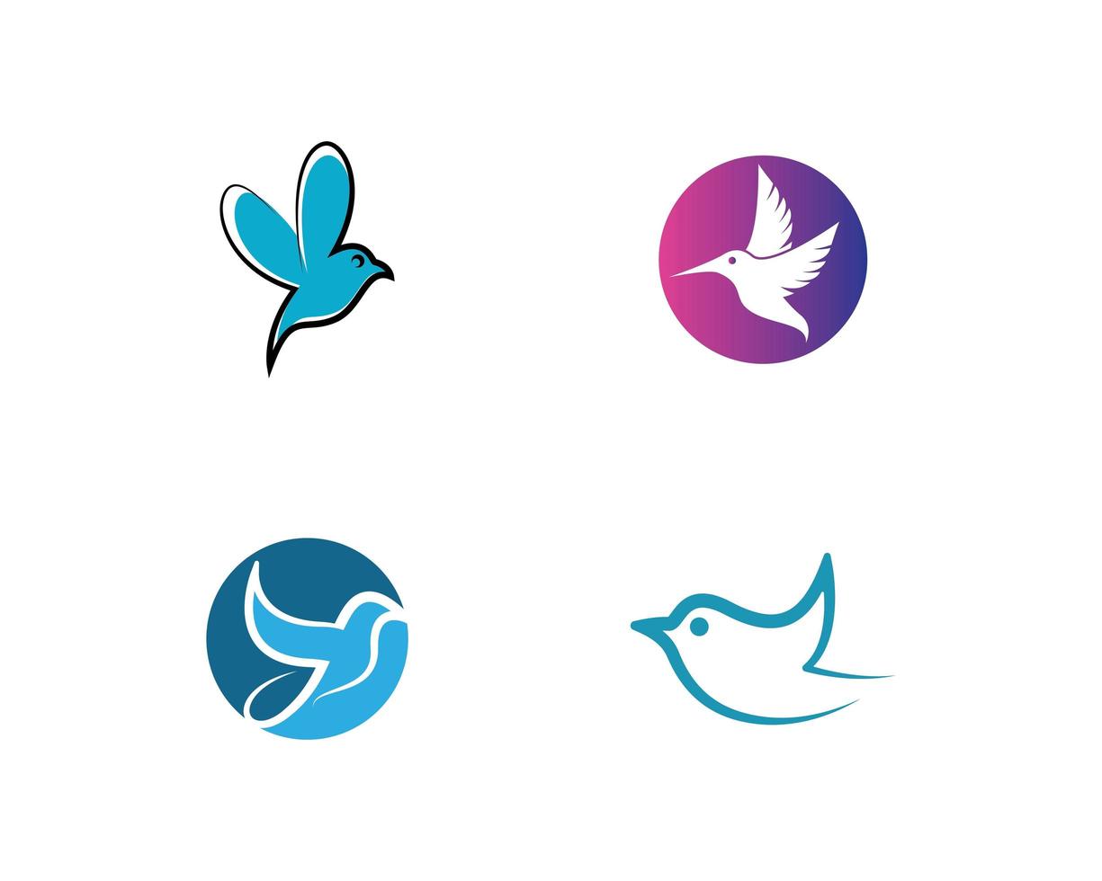 modello di logo di colibrì vettore