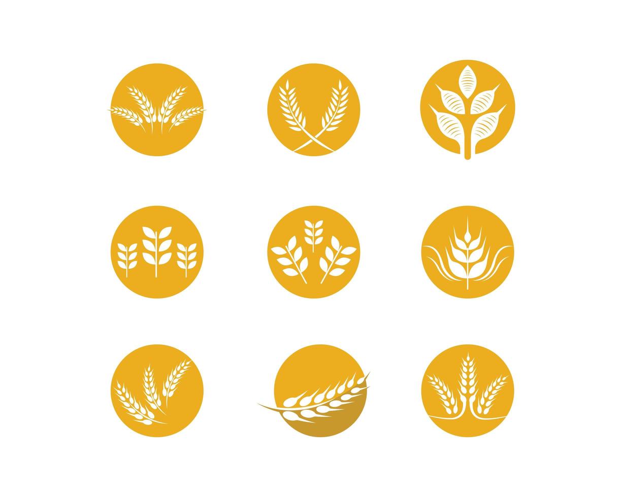 set di logo di grano vettore