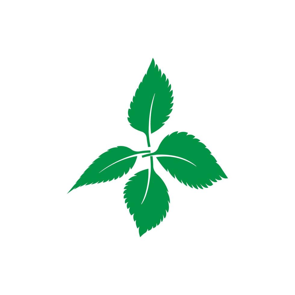 logo foglia di menta vettore