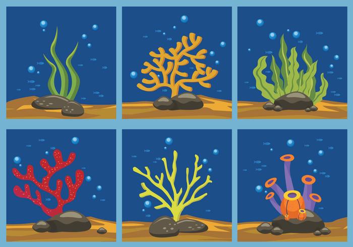 Illustrazione vettoriale di colore alghe