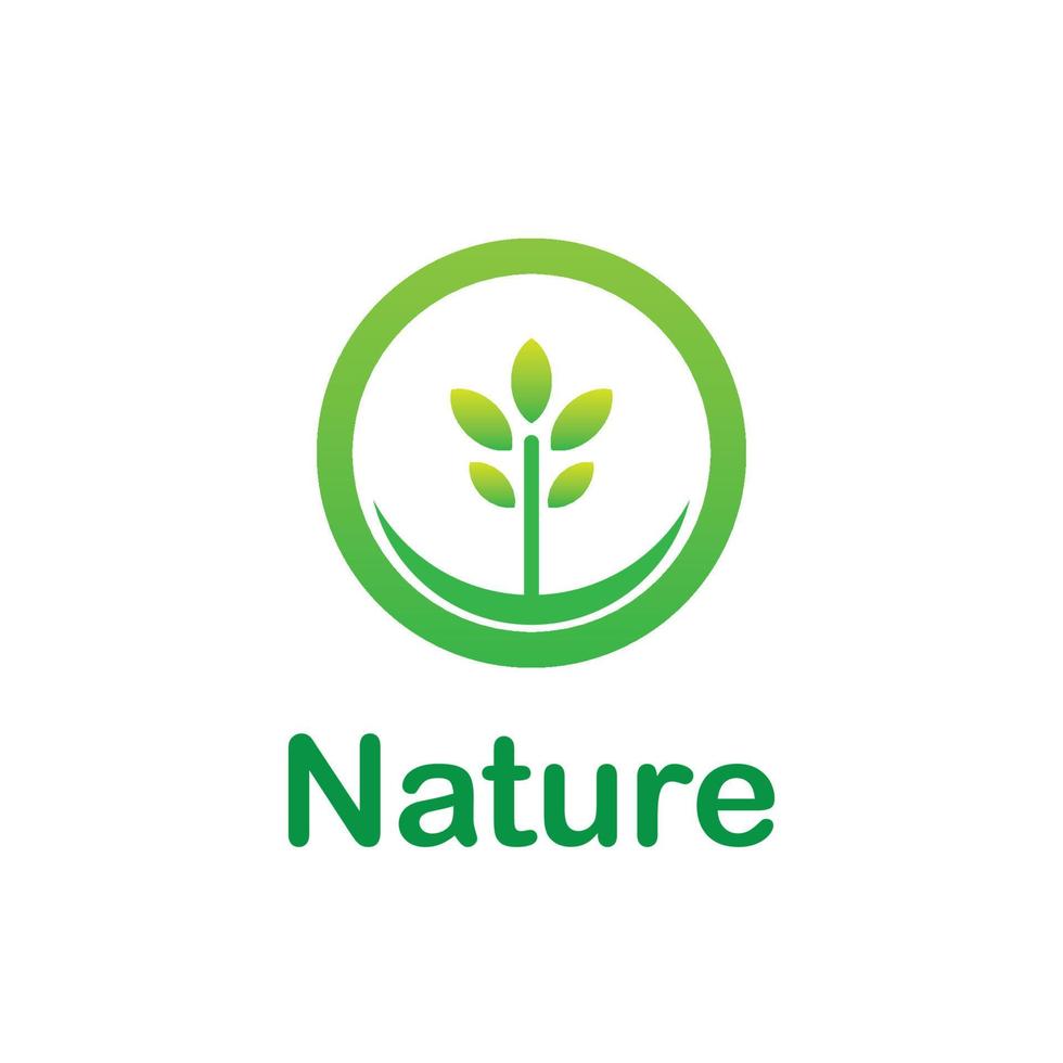 natura foglia logo verde vettore
