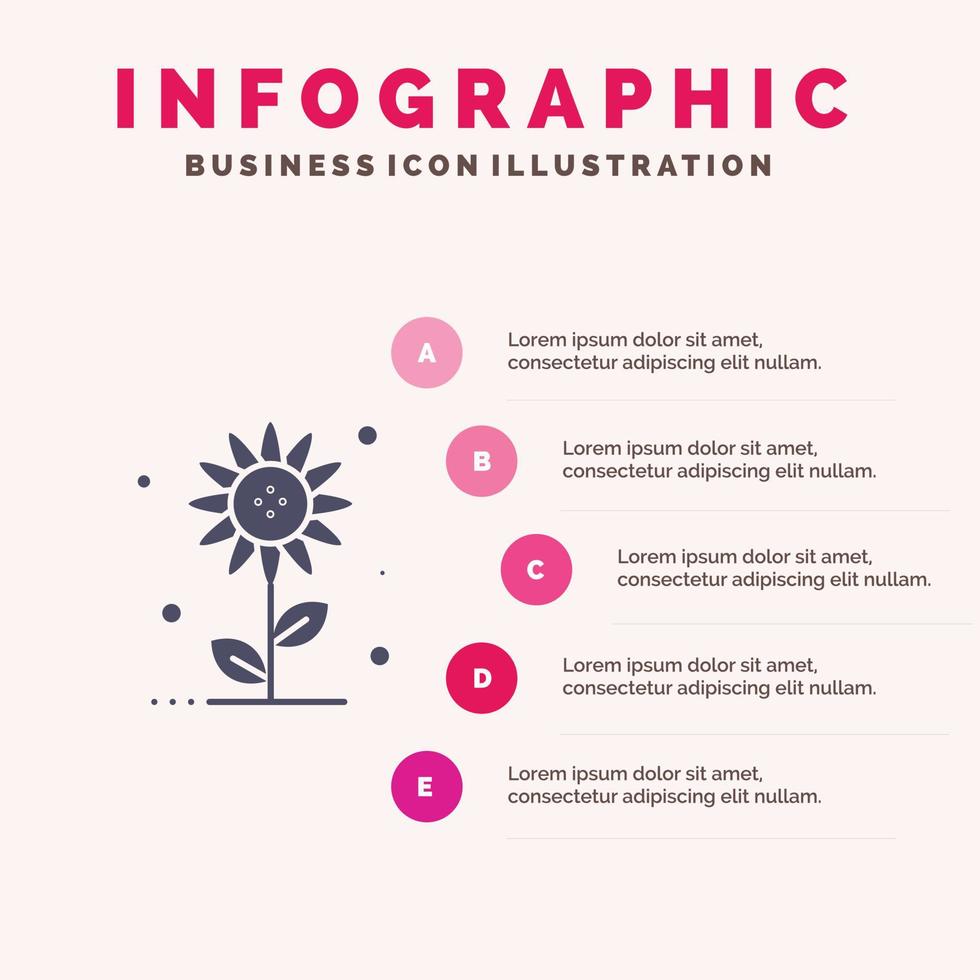 girasole floreale natura primavera solido icona infografica 5 passaggi presentazione sfondo vettore