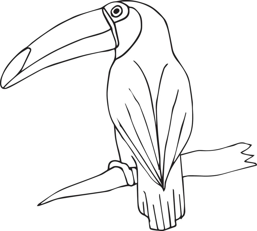 vettore mano disegnato tucano
