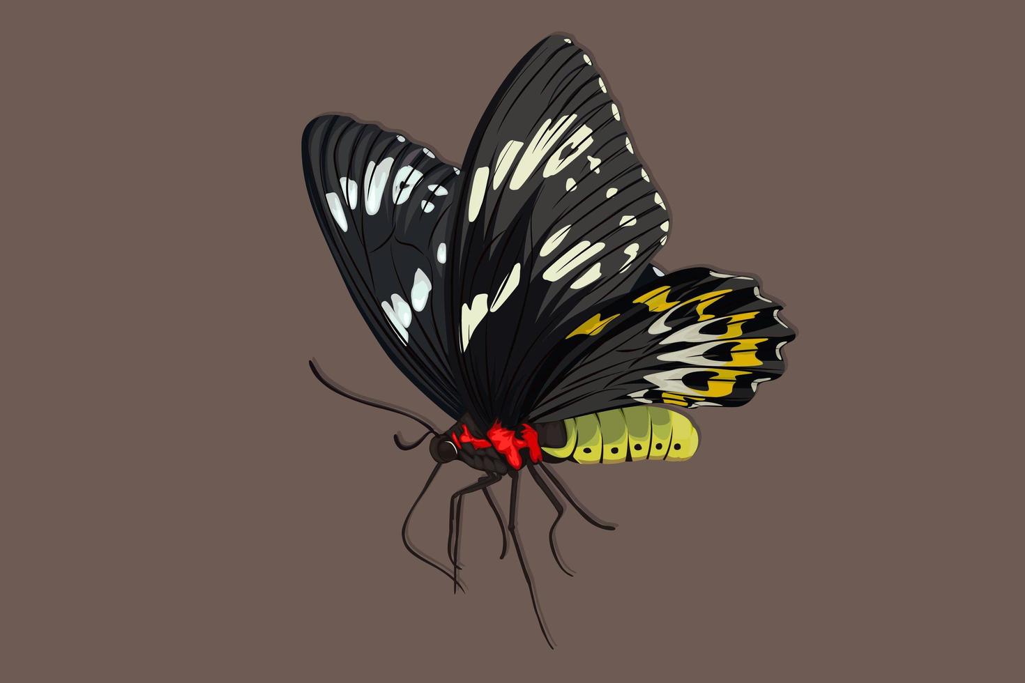 disegno realistico della mano della farfalla nera vettore