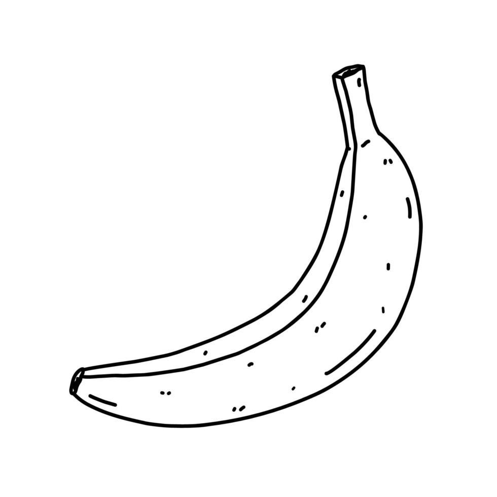 Banana isolato su bianca sfondo. biologico salutare cibo. vettore disegnato a mano illustrazione nel scarabocchio stile. Perfetto per carte, logo, decorazioni, ricette, vario disegni.