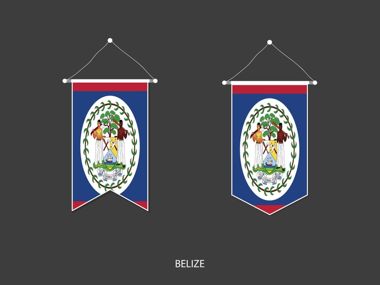 belize bandiera nel vario forma, calcio bandiera bandierina vettore ,vettore illustrazione.