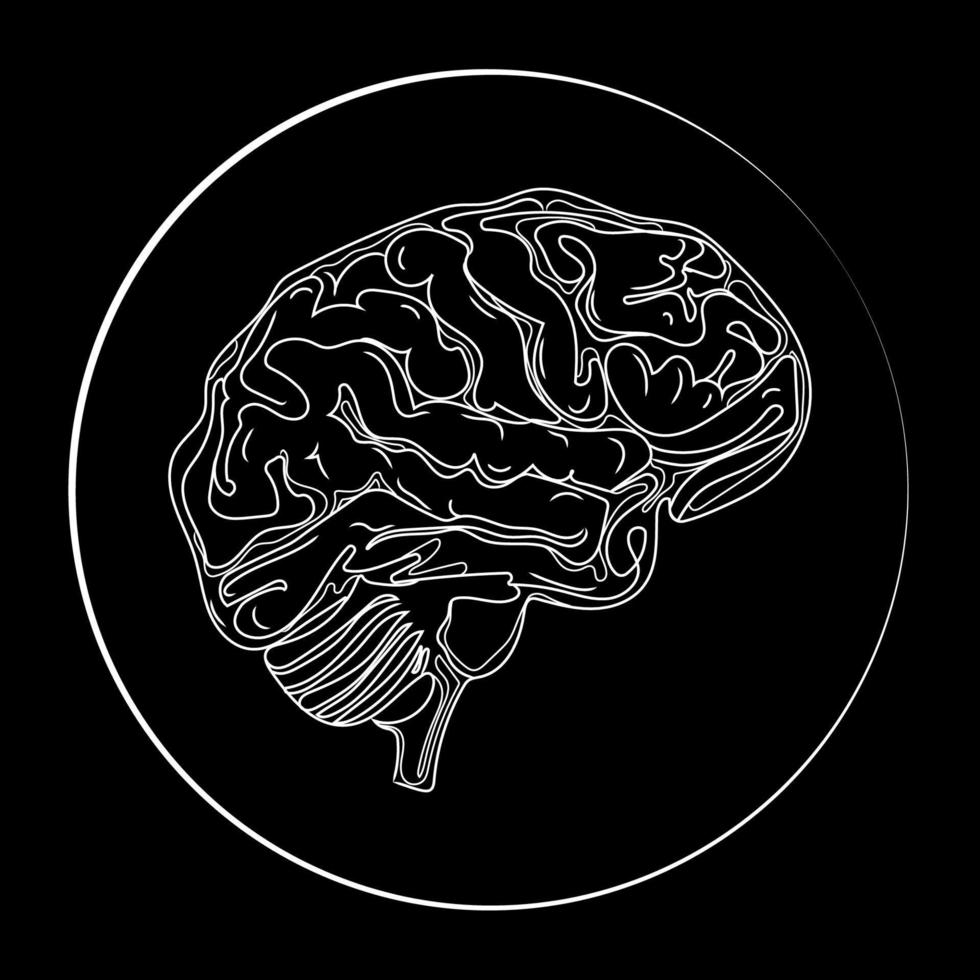 umano cervello linea disegno vettore logo, emblema, icona modello.cervello nel il giro telaio mano disegno rivestimento illustrazione su nero sfondo, nero e whitesektch .umano organi