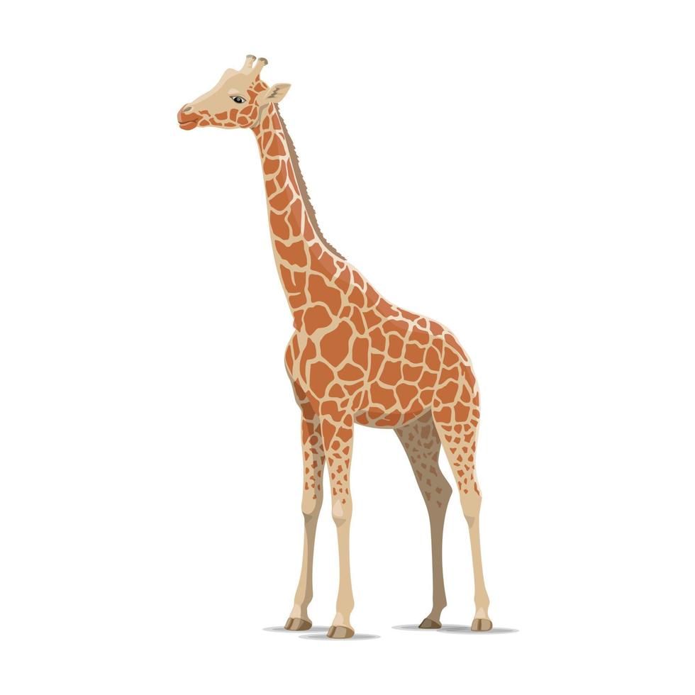 giraffa vettore selvaggio animale isolato icona