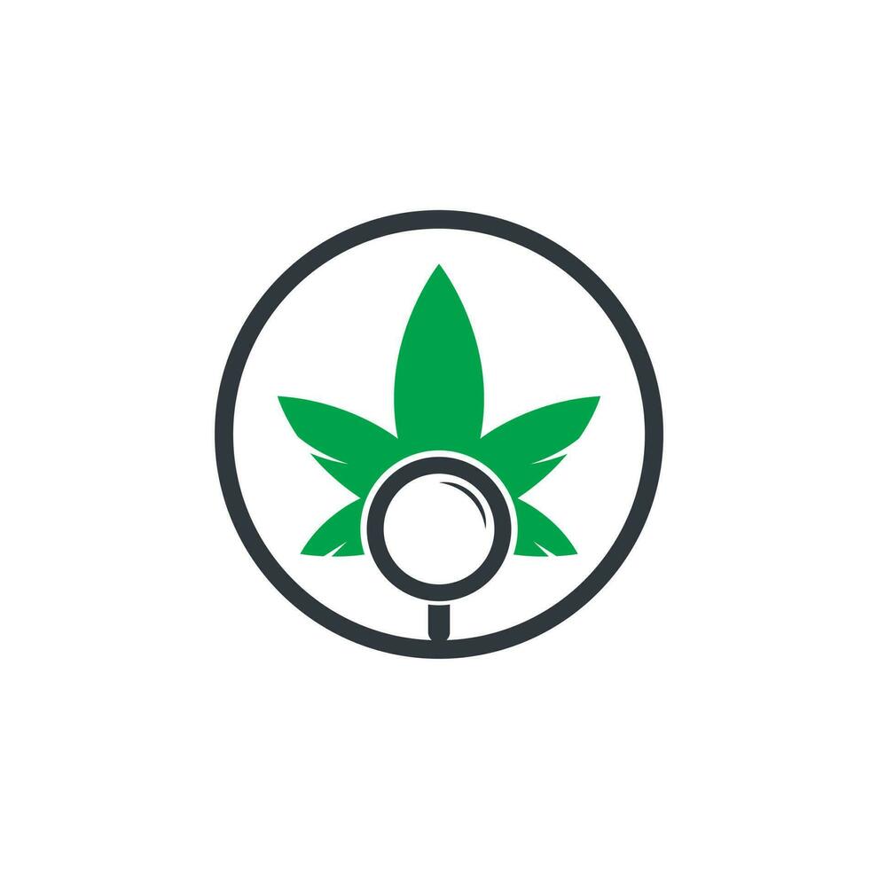 canapa ricerca logo design vettore modello. marijuana foglia e lente di ingrandimento logo combinazione. canapa e ingrandimento simbolo o icona.
