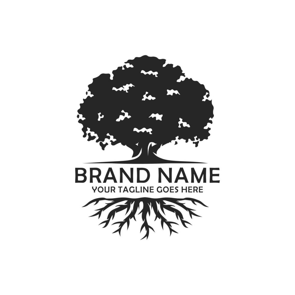 quercia albero logo design vettore