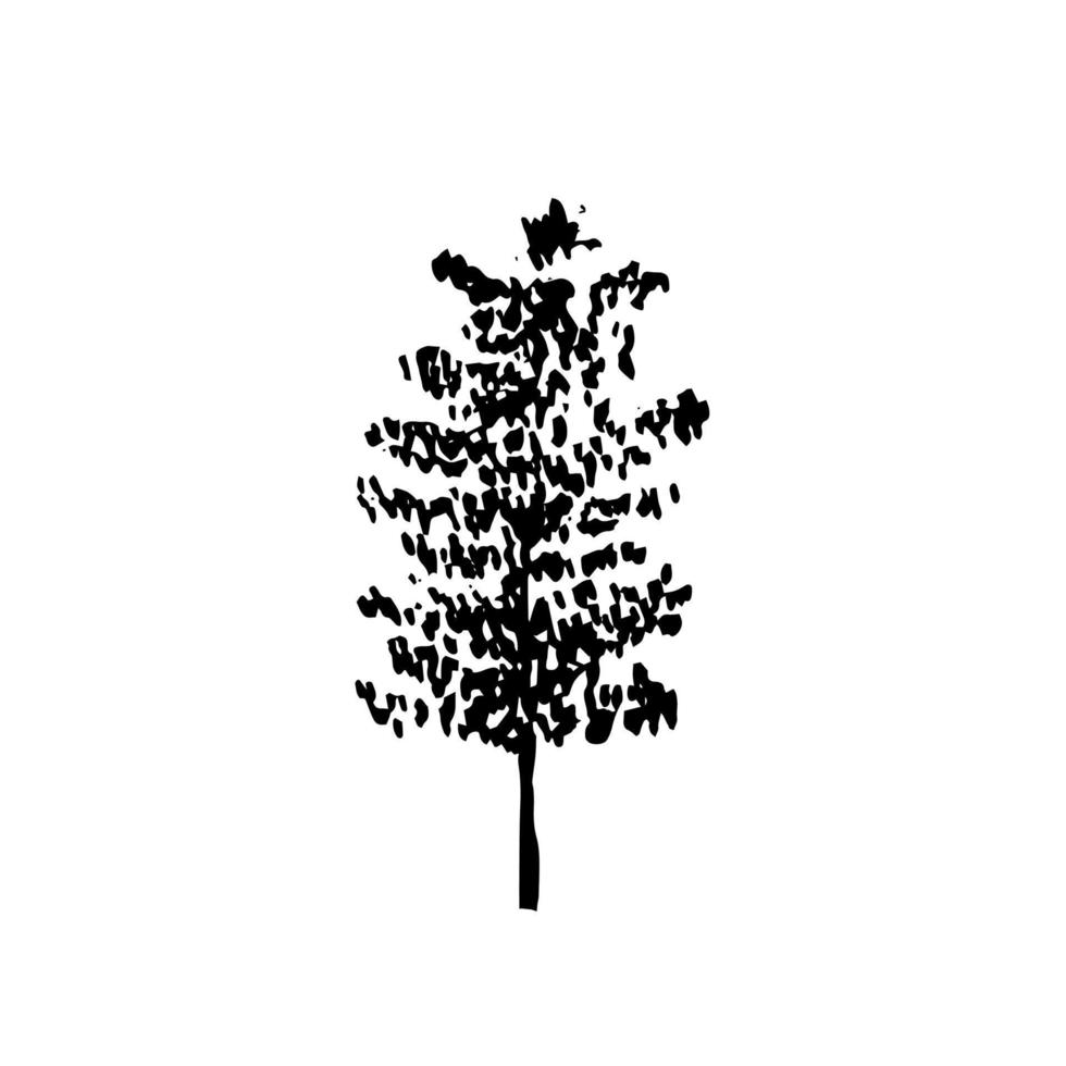 schizzo di betulla disegnato a mano. schizzo dell'inchiostro dell'albero di betulla di vettore isolato