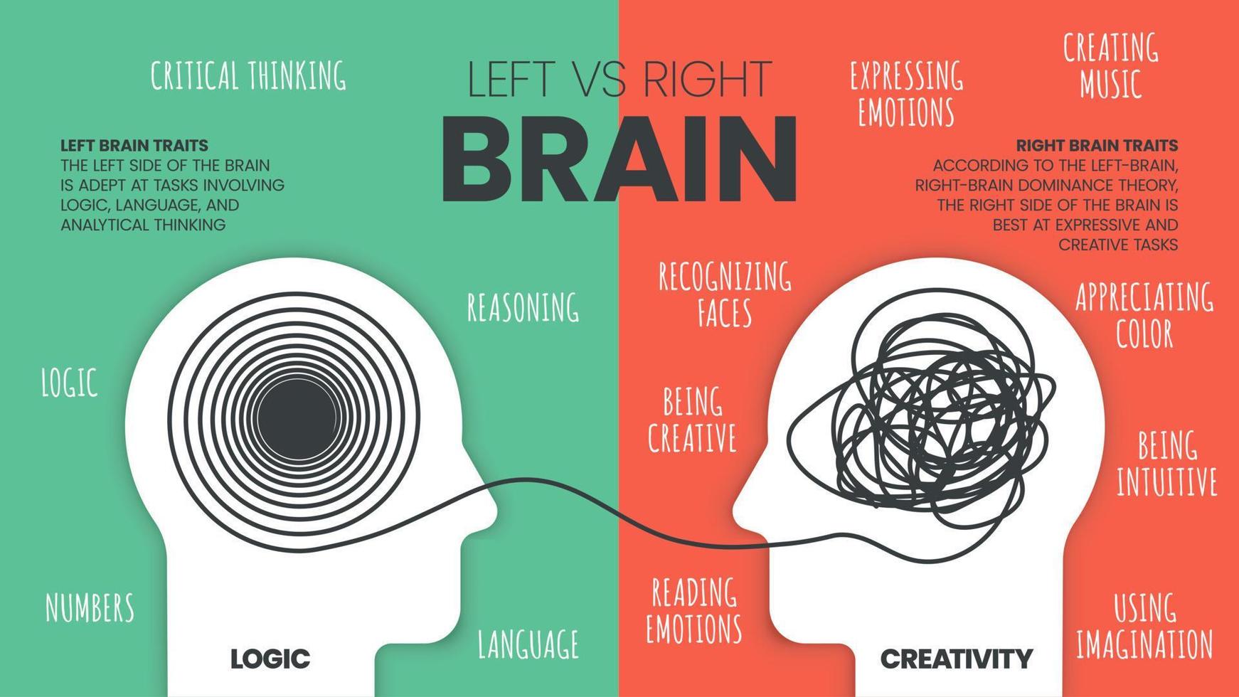 sinistra cervello contro giusto cervello dominanza Infografica modello. Come il umano cervello lavori teoria. creativo persone cervello destro e analitico pensatori con l'emisfero sinistro del cervello predominante concept.visual diapositiva presentazione vettore