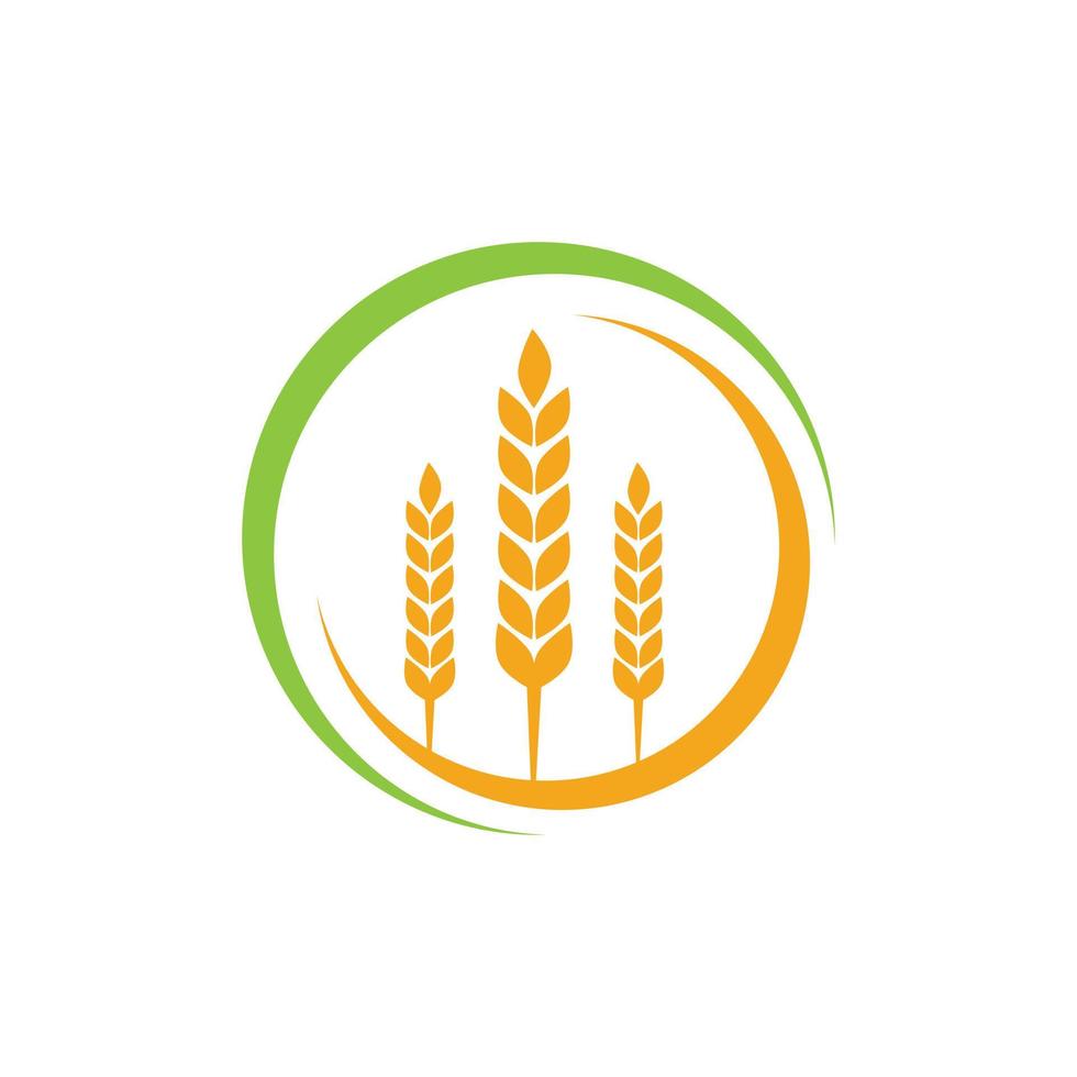 Grano agricoltura e agricoltura vettore logo design