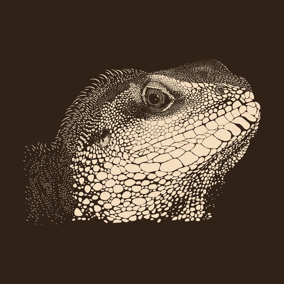 iguana schizzo illustrazione disegno vettore animale