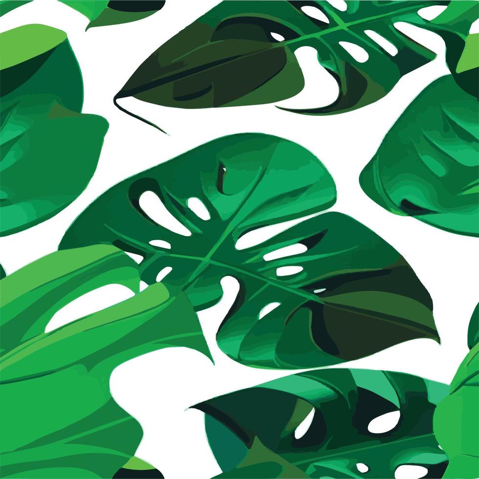 verde Monstera modello bianca sfondo. esotico modello con tropicale le foglie. vettore illustrazione. Monstera foglia modello. tropicale palma le foglie. esotico design tessuto, tessile Stampa, involucro carta