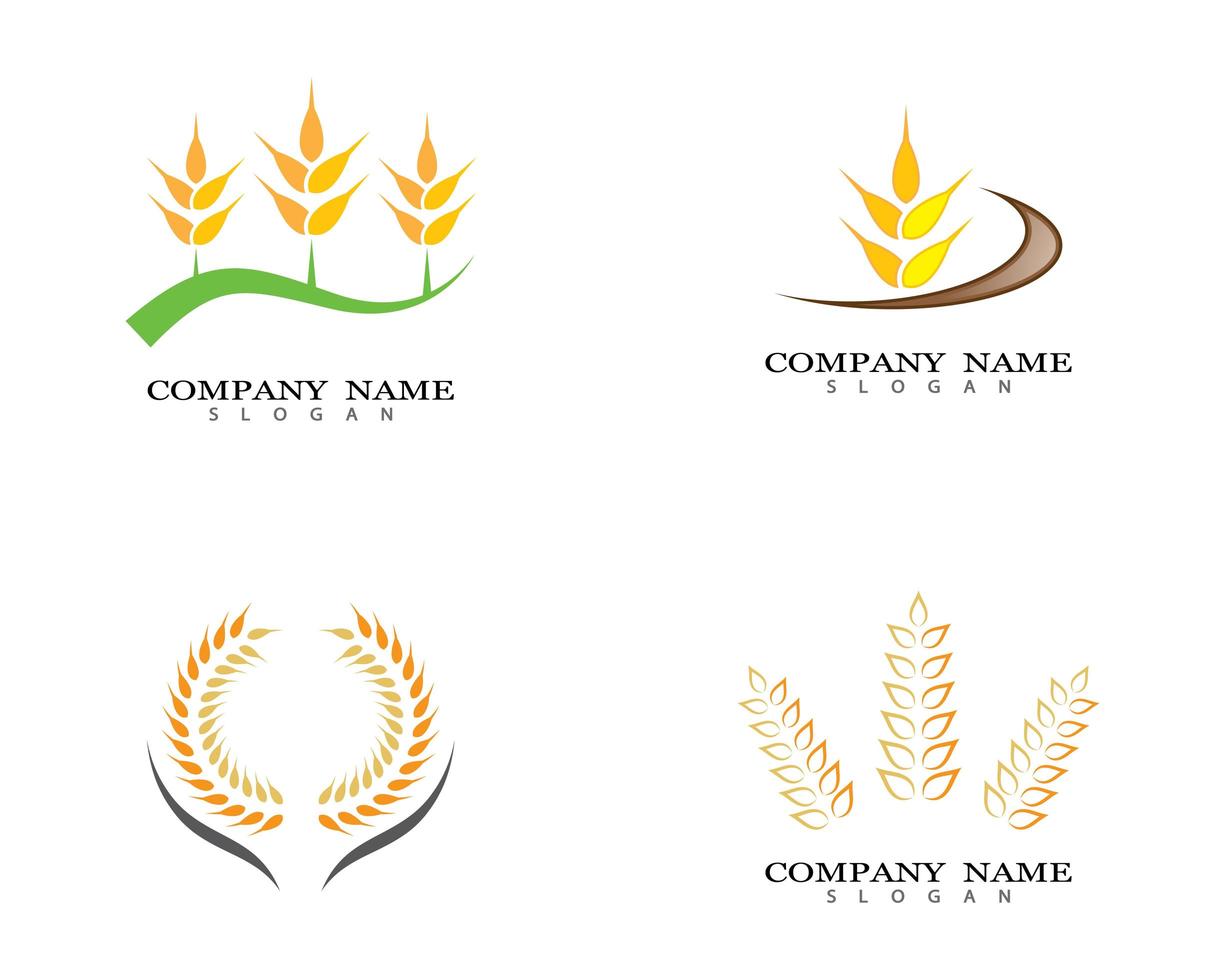 set di design del logo di grano vettore