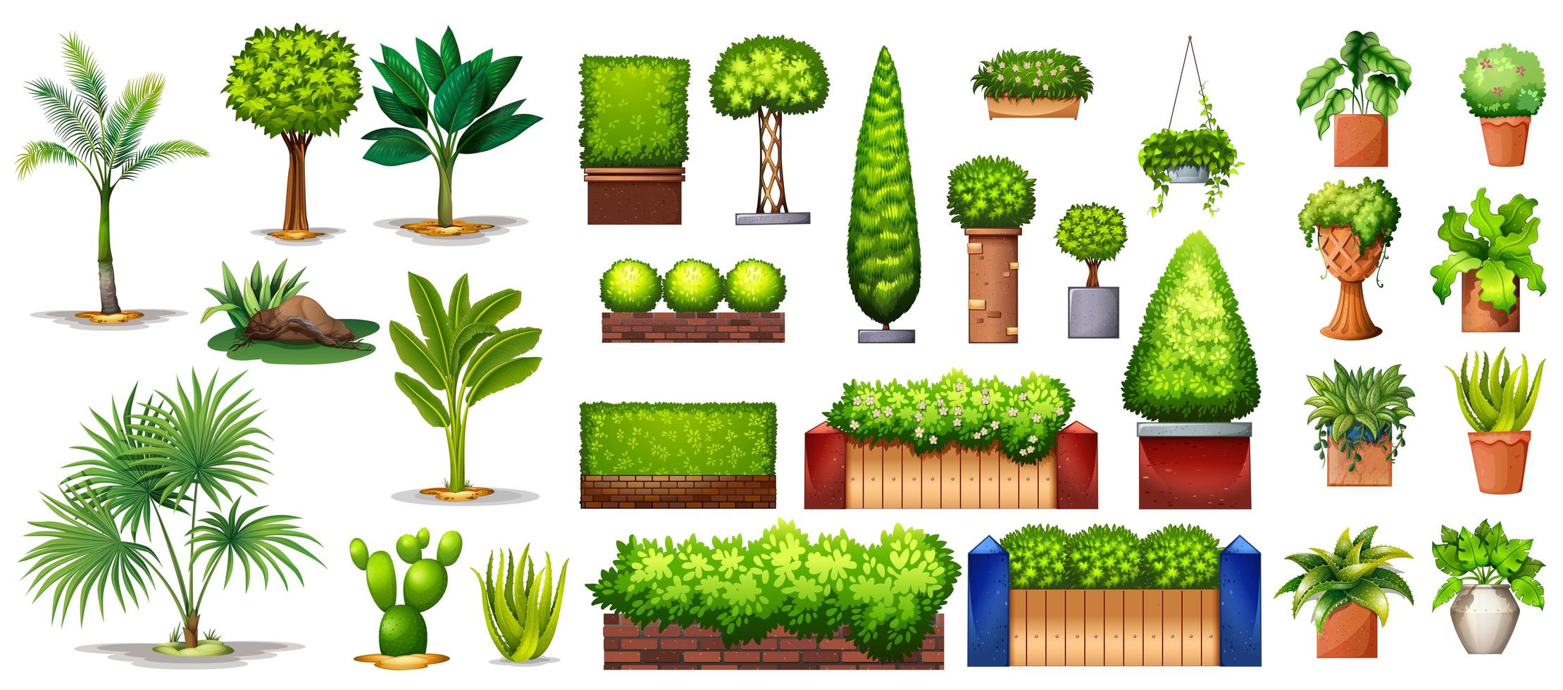 raccolta di specie di piante e alberi vettore
