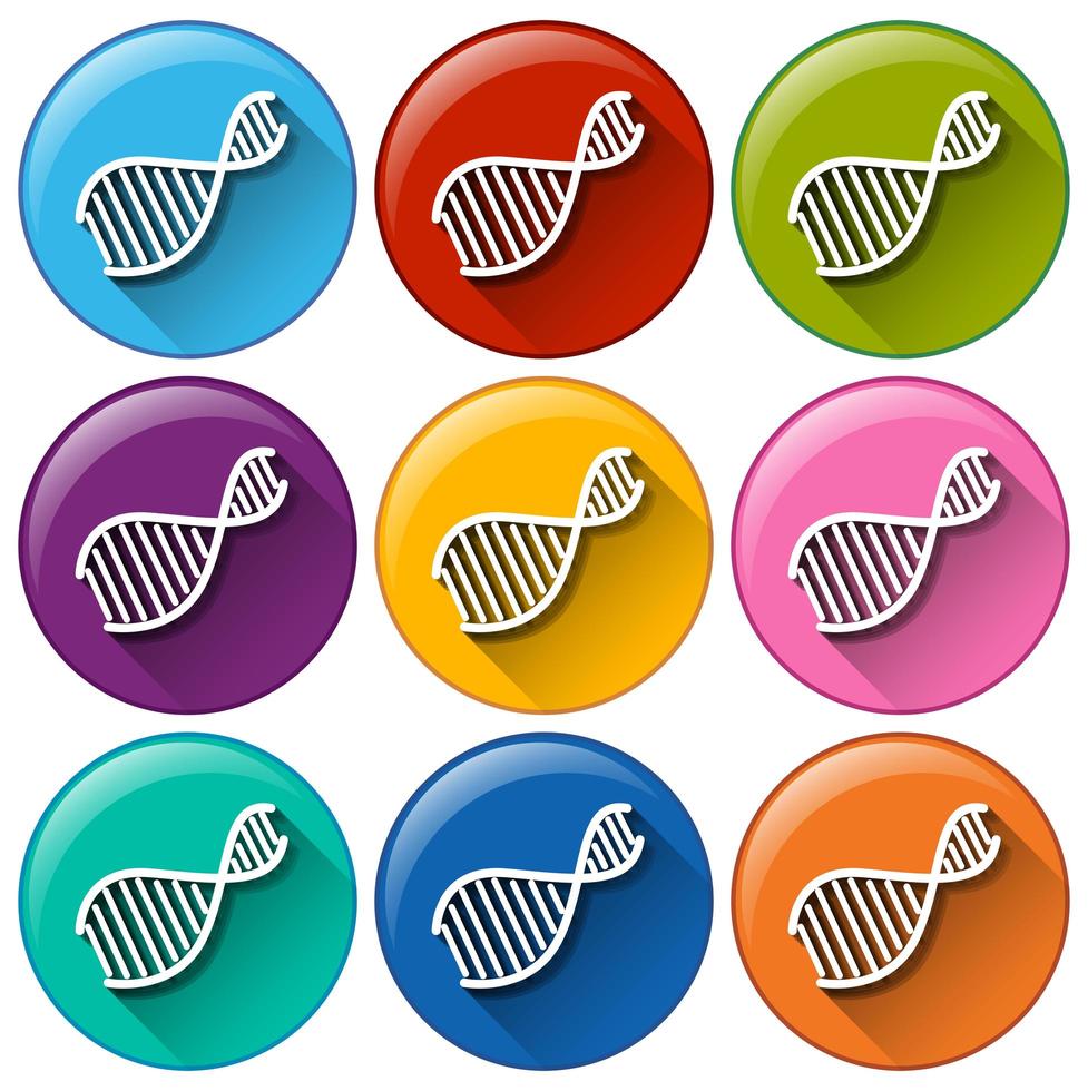 pulsanti con simboli dna vettore