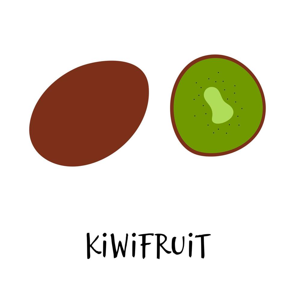 vettore illustrazione di kiwi nel mano disegnato piatto stile.